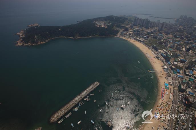 일산해수욕장전경(항공) 의 사진