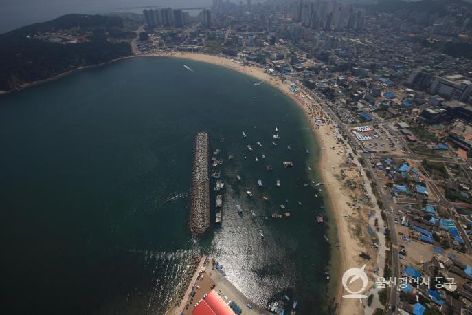 일산해수욕장전경(항공) 의 사진