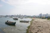 일산진마을어선 의 사진