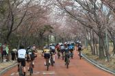 제10회 울산동구 염포산 전국산악자전거대회 의 사진