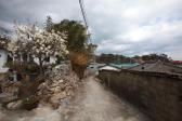 일산진마을가옥 의 사진