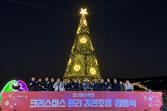 일산해수욕장 크리스마스트리 점등식