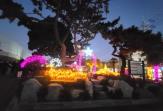 방어동 새마을 꽃동산 야간조명 점등식 의 사진