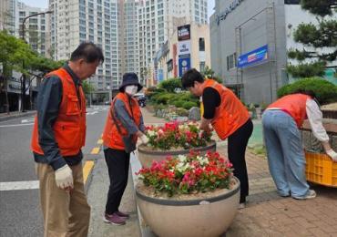전하2동 여름 초화류 식재행사의 사진