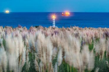 [동상] 팜파스와 등대