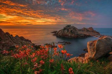 [동상] 불타는 하늘과 나리꽃