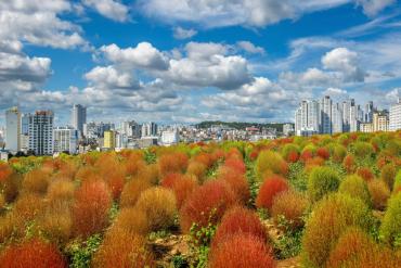 [동상] 도심 속 가을