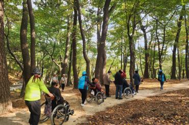 무장애 여행 ‘Free & Beyond’의 사진