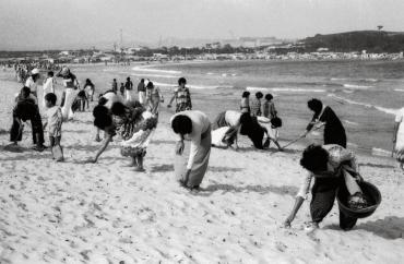 새마을운동 남목마을 안길 넓히기 사업_ 1970년대의 사진