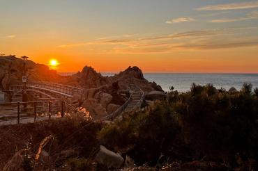 2026 대왕암 해맞이 축제의 사진