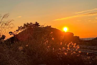 2026 대왕암 해맞이 축제의 사진