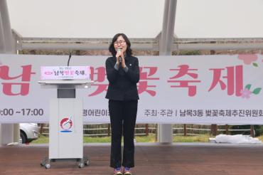 남목 벚꽃축제의 사진