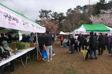 남목 벚꽃축제의 사진