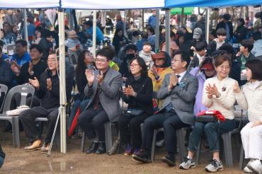 남목 벚꽃축제의 사진