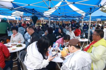 남목 벚꽃축제의 사진