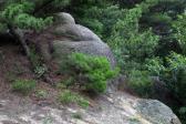 가마바위 의 사진