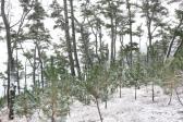 눈오는날의 대왕암공원