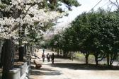 대왕암공원의 봄 의 사진