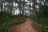 대왕암공원 산책로 의 사진