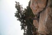 대왕암공원바위 의 사진