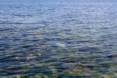 해무낀일산해수욕장 의 사진