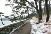 눈오는날의 대왕암공원 의 사진