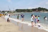 일산해수욕장 관광객 의 사진
